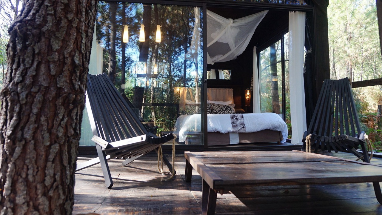 Photo of Others in Origne