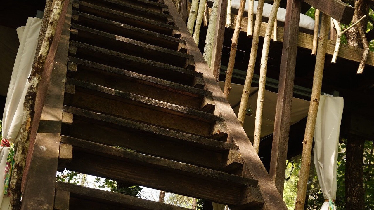 Photo of Others in Origne