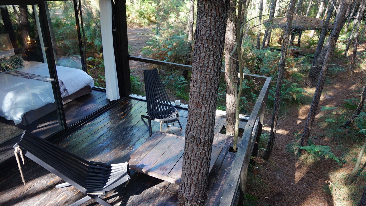 Photo of Others in Origne