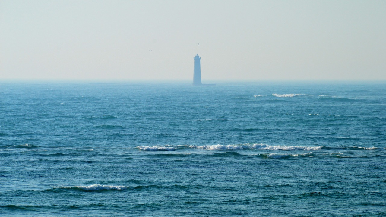 Photo of Outdoor in Le Bois-Plage-en-Re