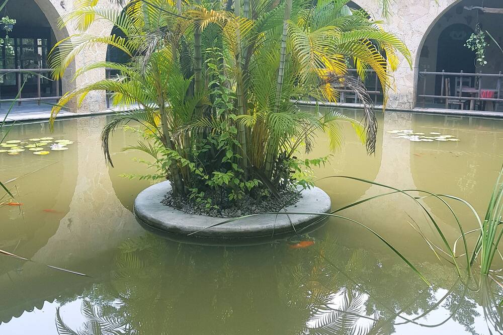 Photo of Outdoor in Xochitepec