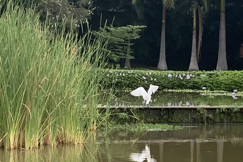 Photo of Outdoor in Xochitepec