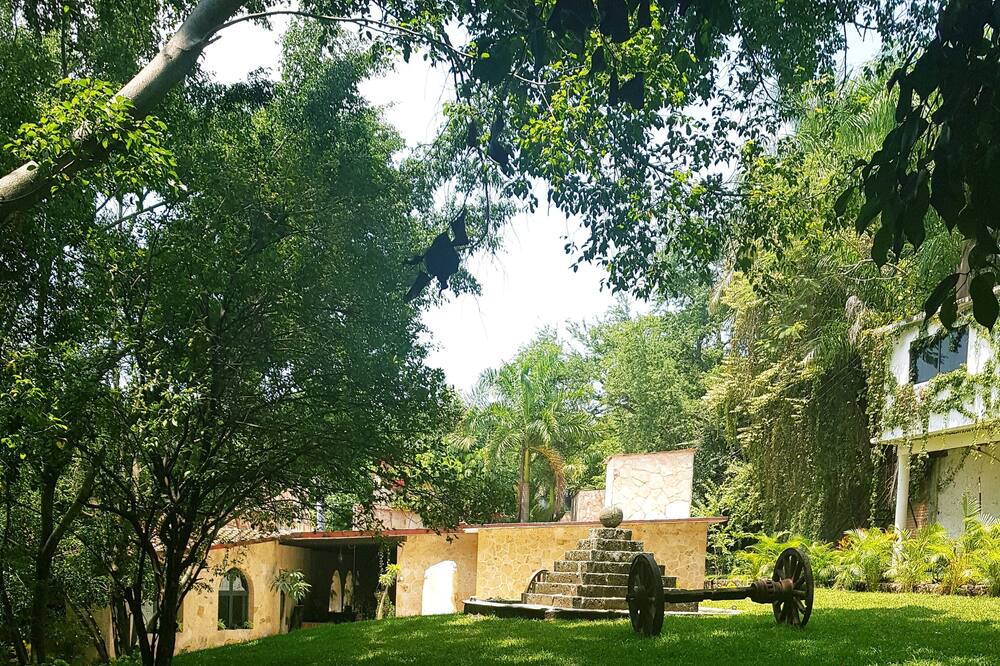 Photo of Outdoor in Xochitepec
