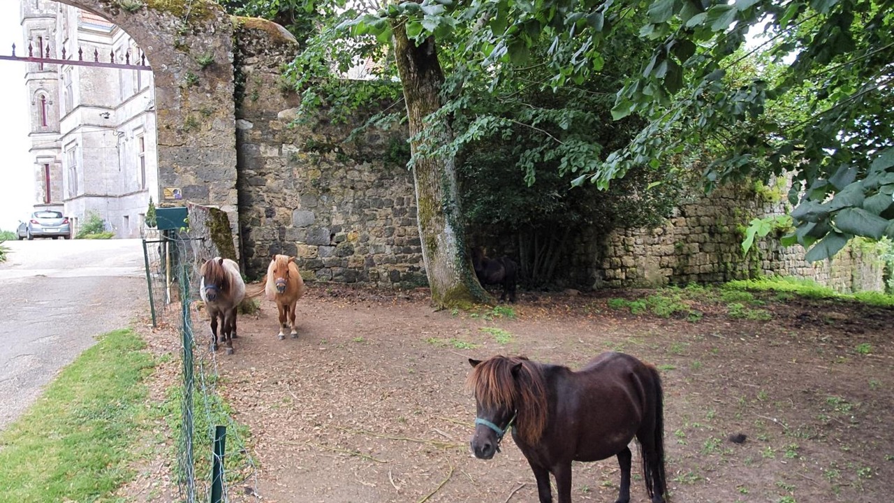 Photo of Outdoor in Leyritz-Moncassin