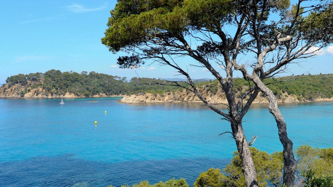 Photo of Others in Bormes-Les-Mimosas