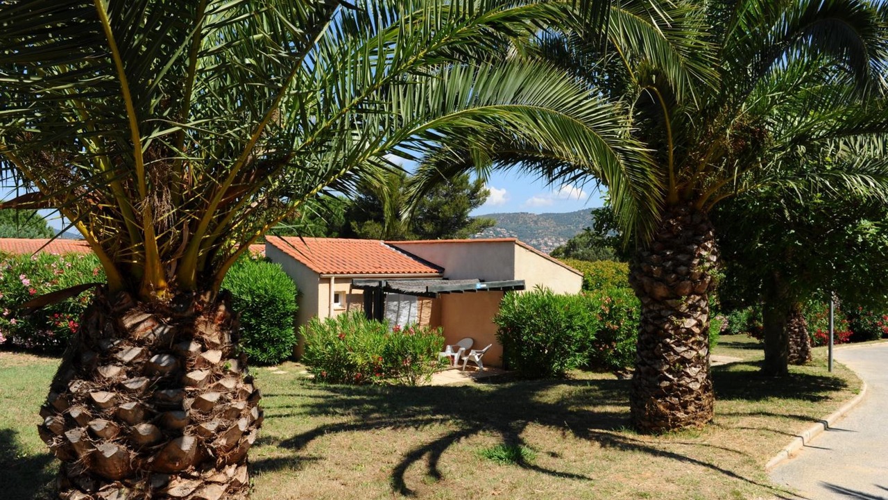 Photo of Outdoor in Bormes-Les-Mimosas