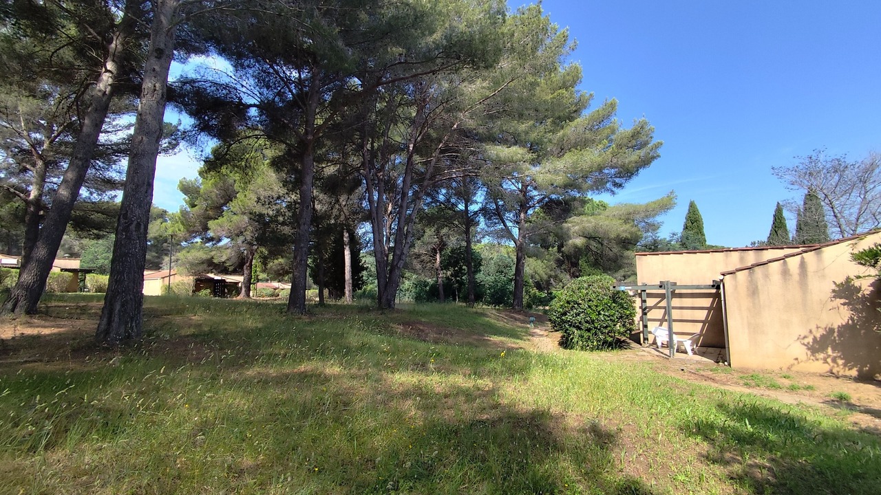 Photo of Outdoor in Bormes-Les-Mimosas