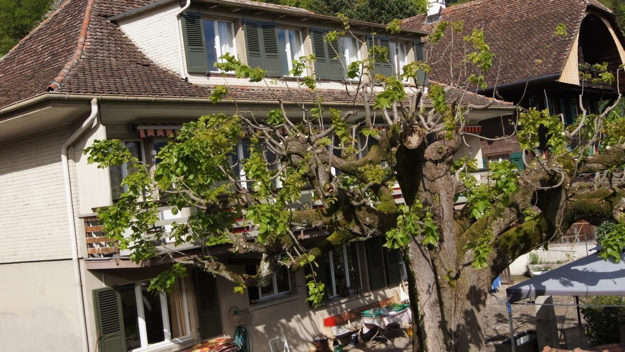 Photo of Outdoor in Goldiwil