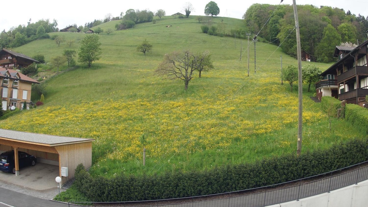 Photo of Outdoor in Goldiwil