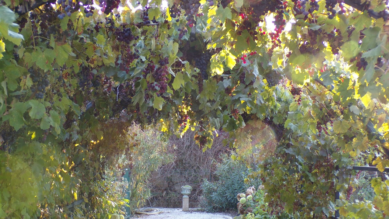 Photo of Outdoor in Caunes-Minervois