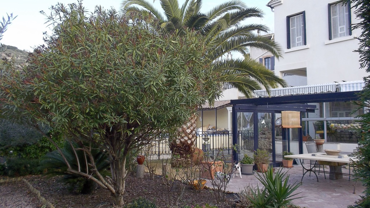 Photo of Outdoor in Caunes-Minervois