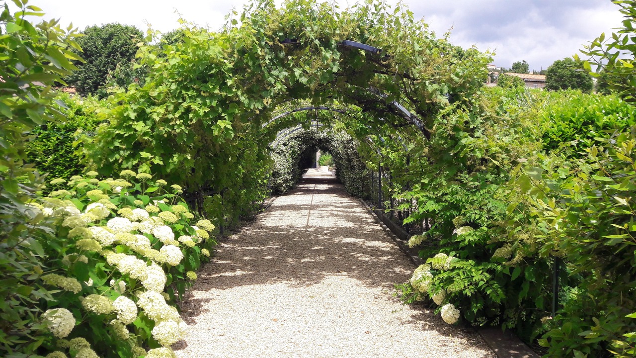 Photo of Outdoor in Caunes-Minervois