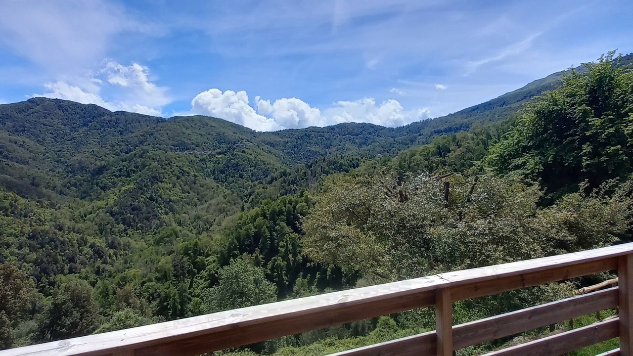 Photo of Patio Balcony in Carcheto-Brustico