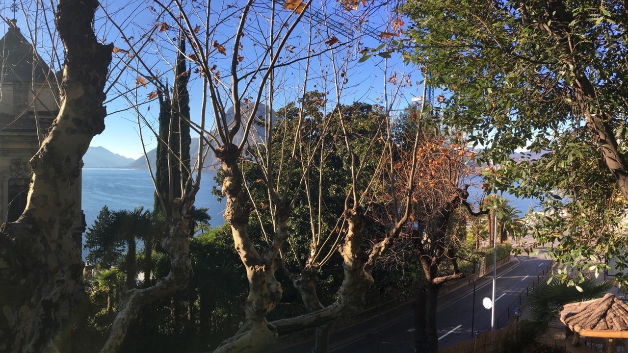 Photo of Outdoor in Castagnola