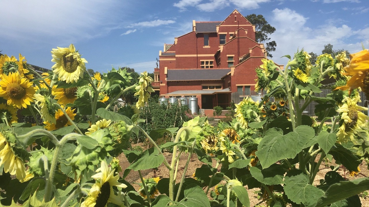Photo of Others in North Adelaide