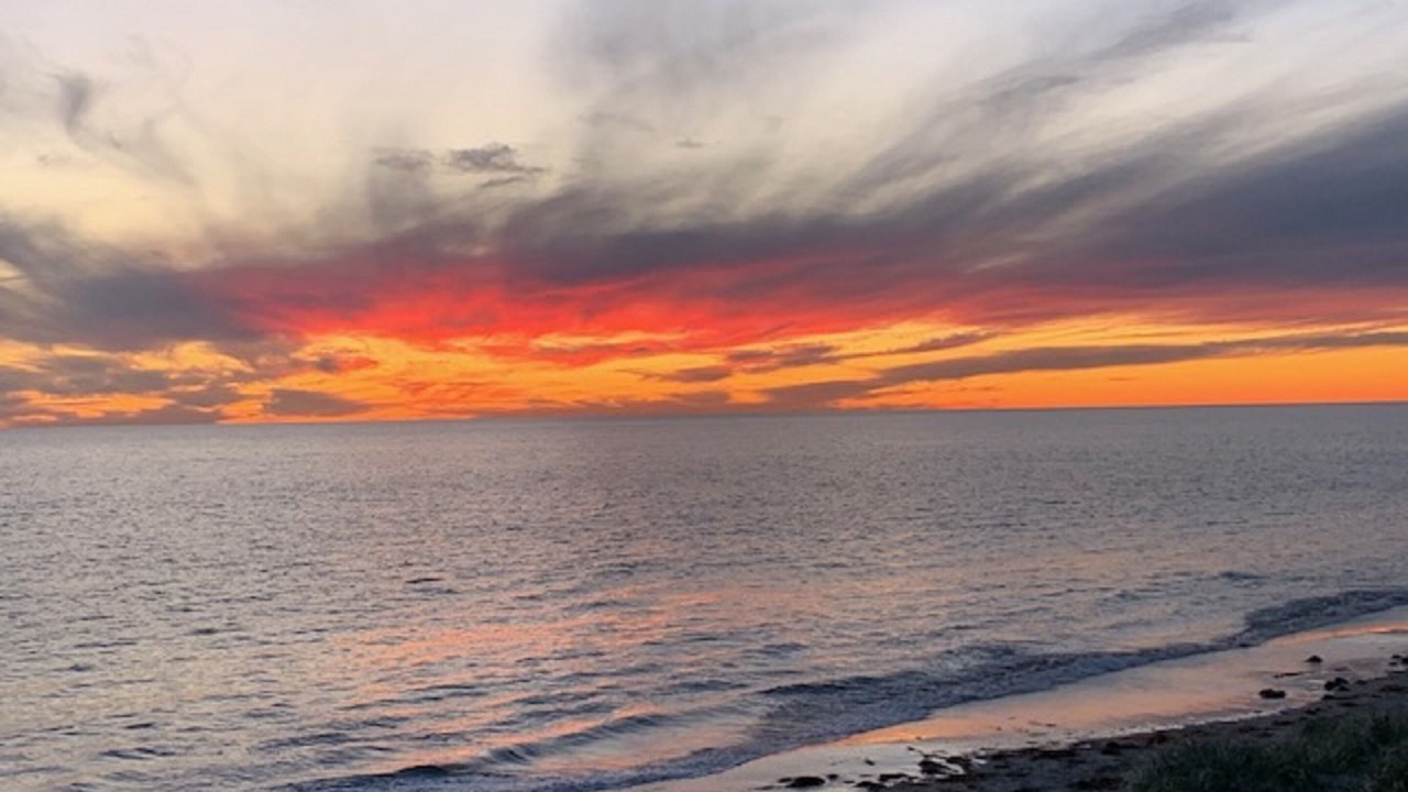 Photo of Others in North Adelaide