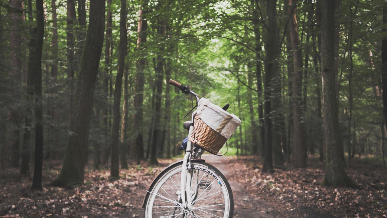 Photo of Others in Saint-Etienne-Roilaye