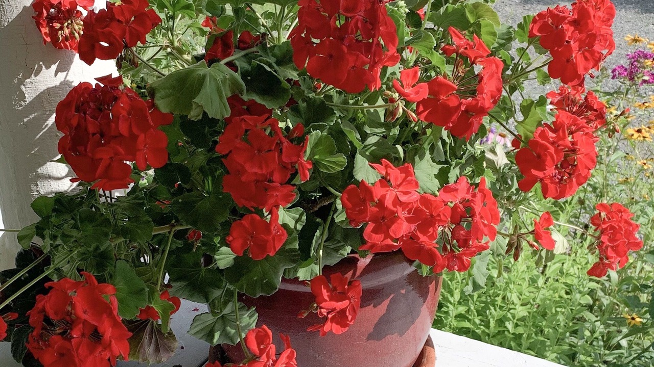 Photo of Outdoor in Dover-Foxcroft