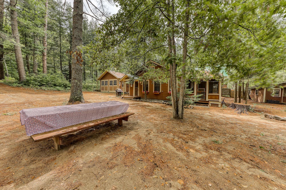 Photo of Others in Adirondack