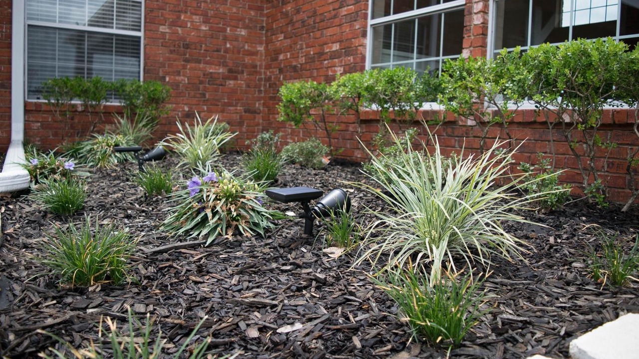 Photo of Outdoor in Kaufman