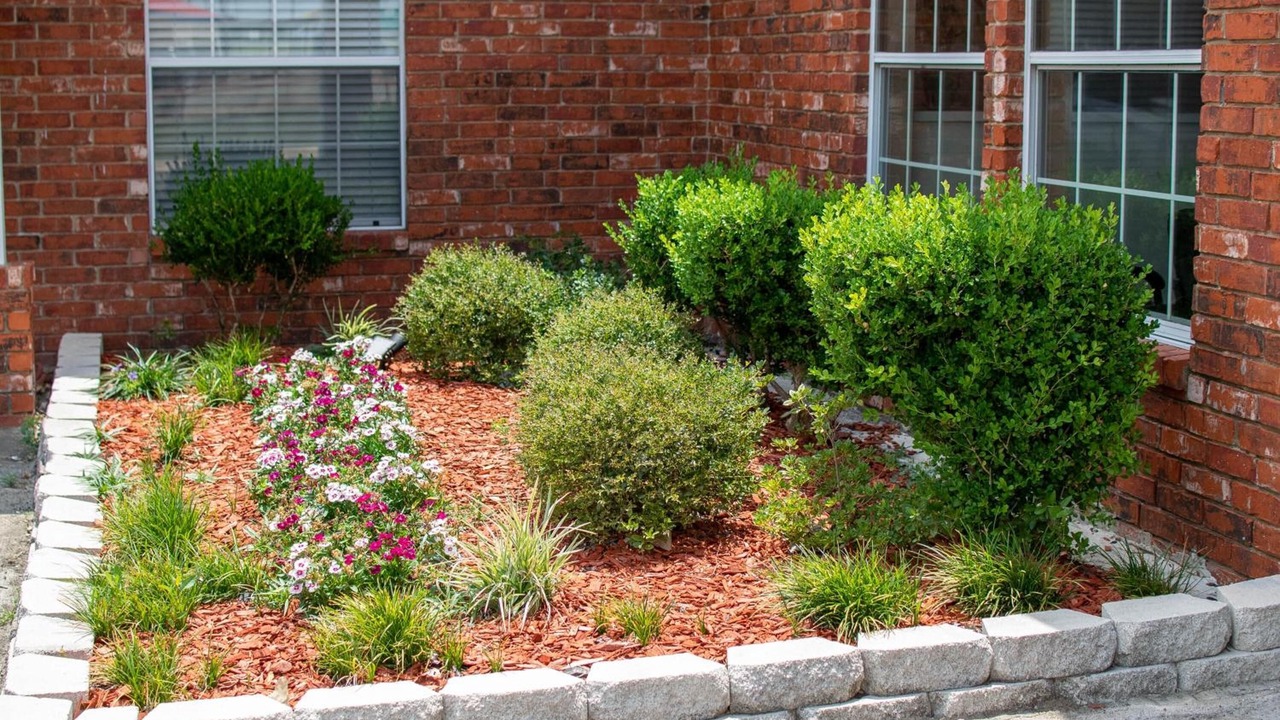 Photo of Outdoor in Kaufman