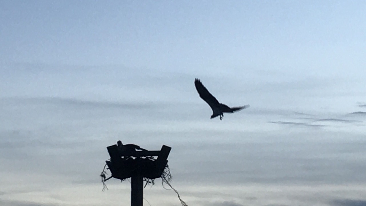 Photo of Others in Old Lyme