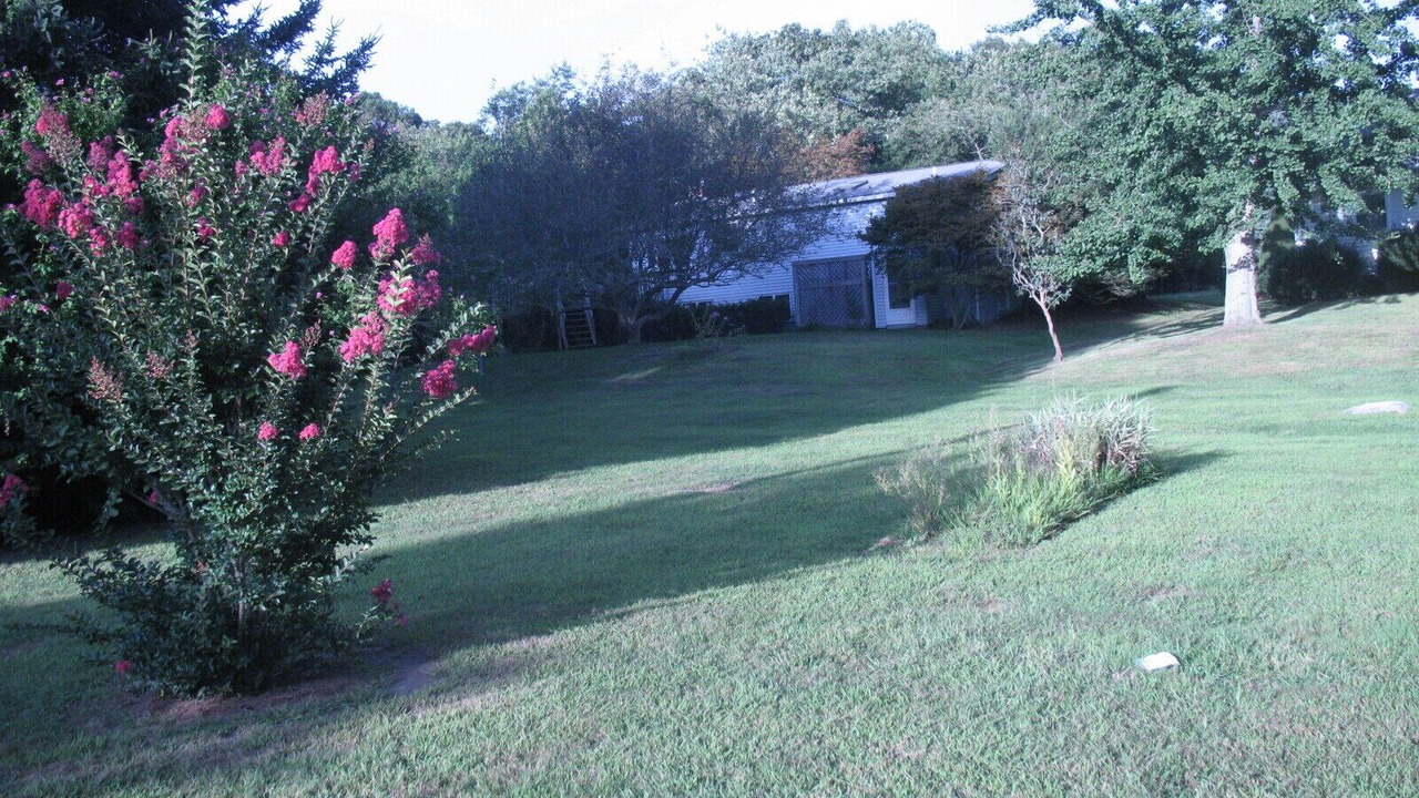 Photo of Outdoor in Old Lyme