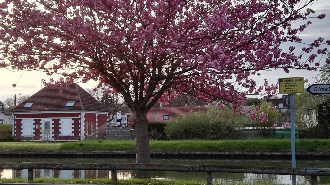 Photo of Outdoor in Thourotte