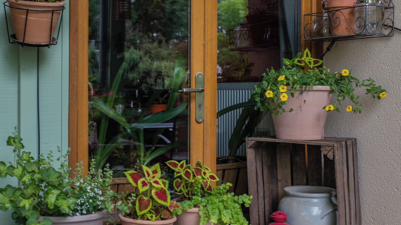 Photo of Patio Balcony in Trept