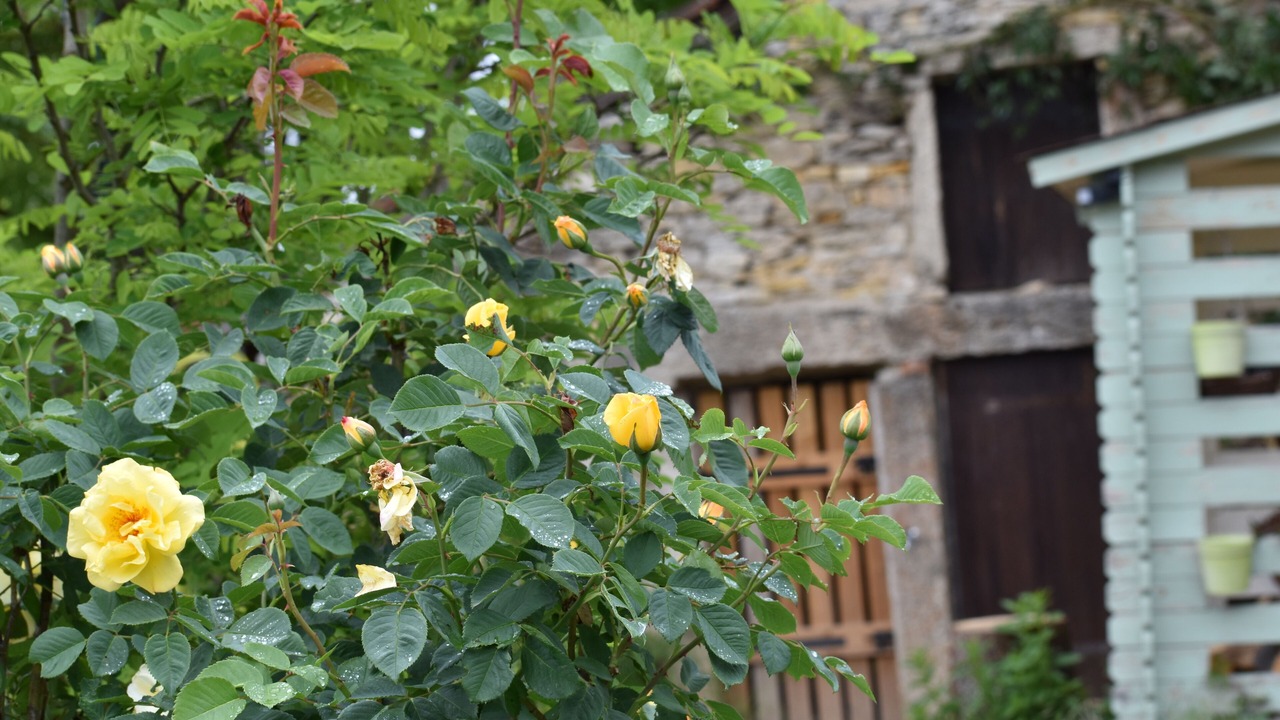 Photo of Outdoor in Trept