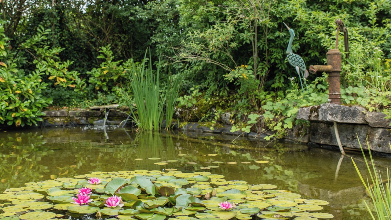 Photo of Outdoor in Trept