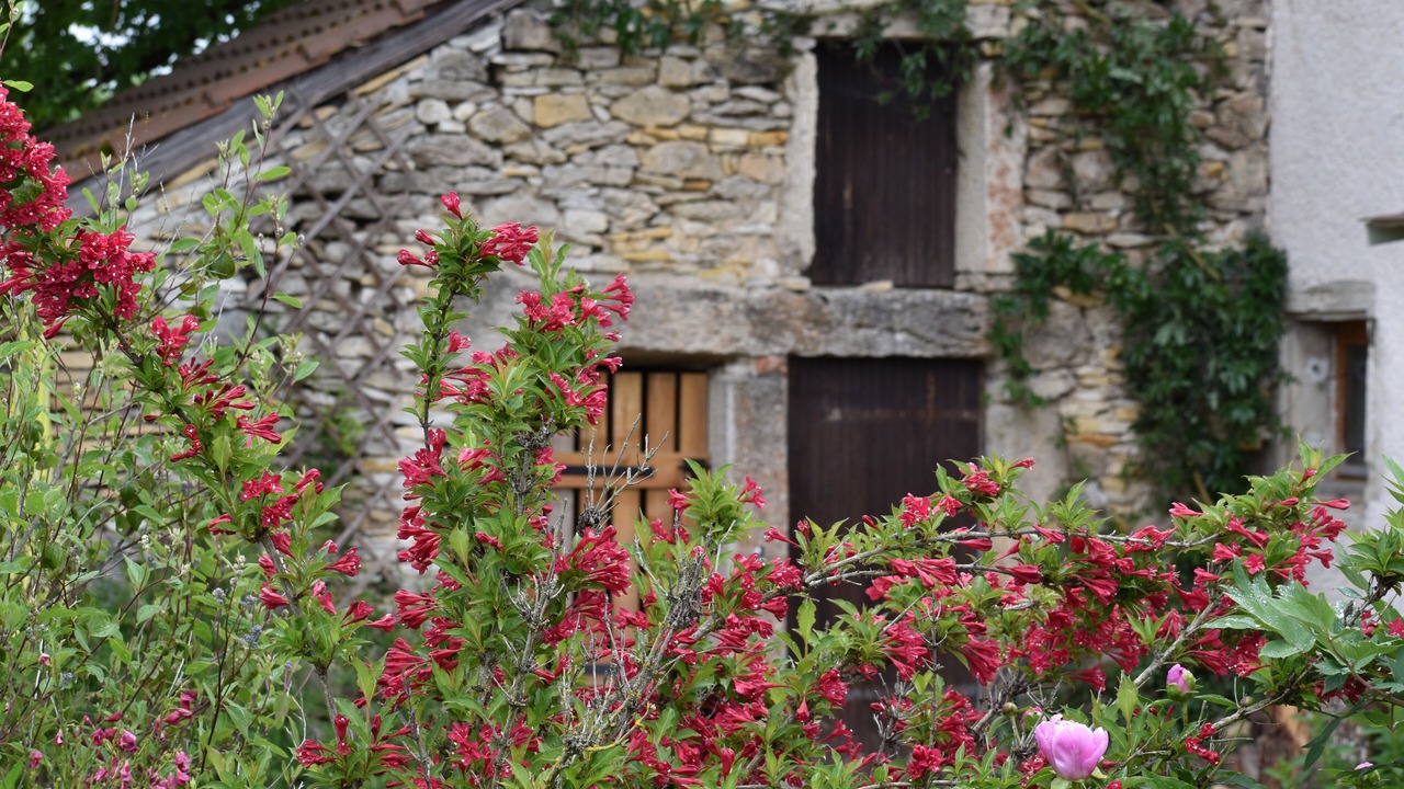 Photo of Outdoor in Trept