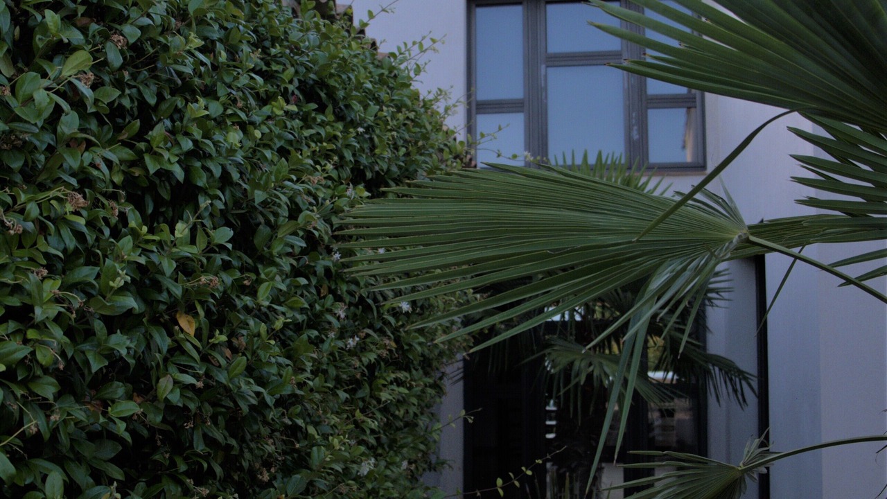 Photo of Outdoor in Rians