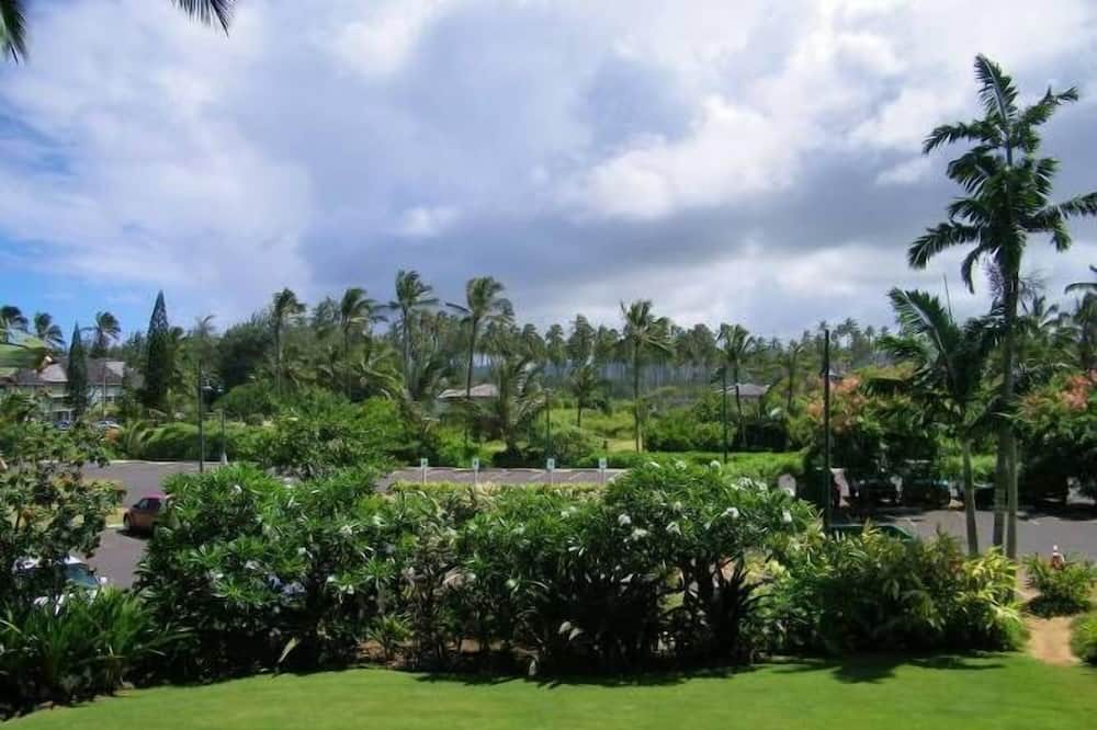 Photo of Others in Wailua