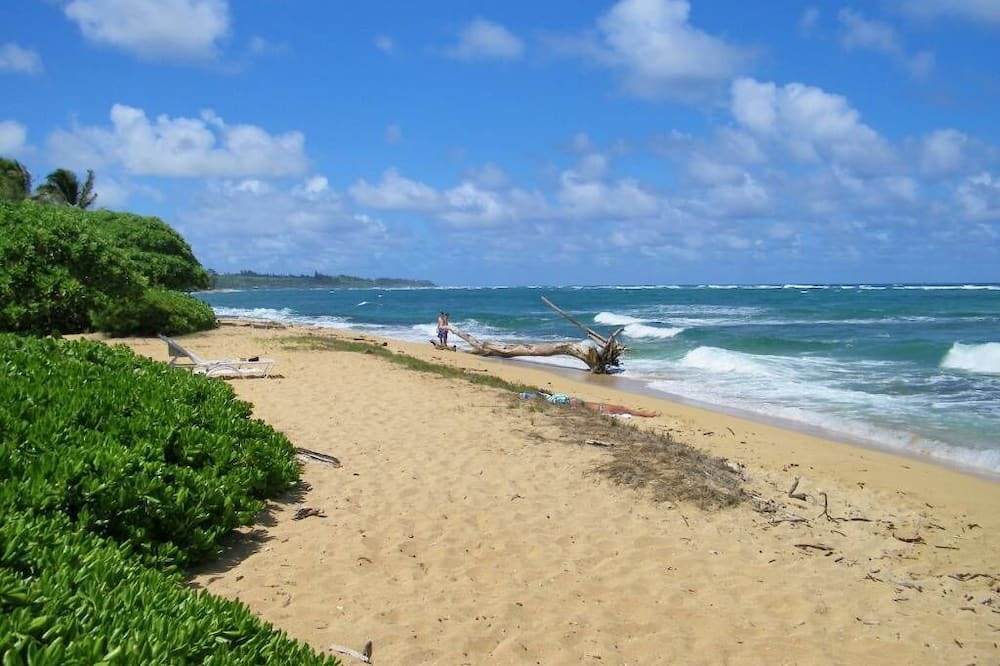 Photo of Others in Wailua