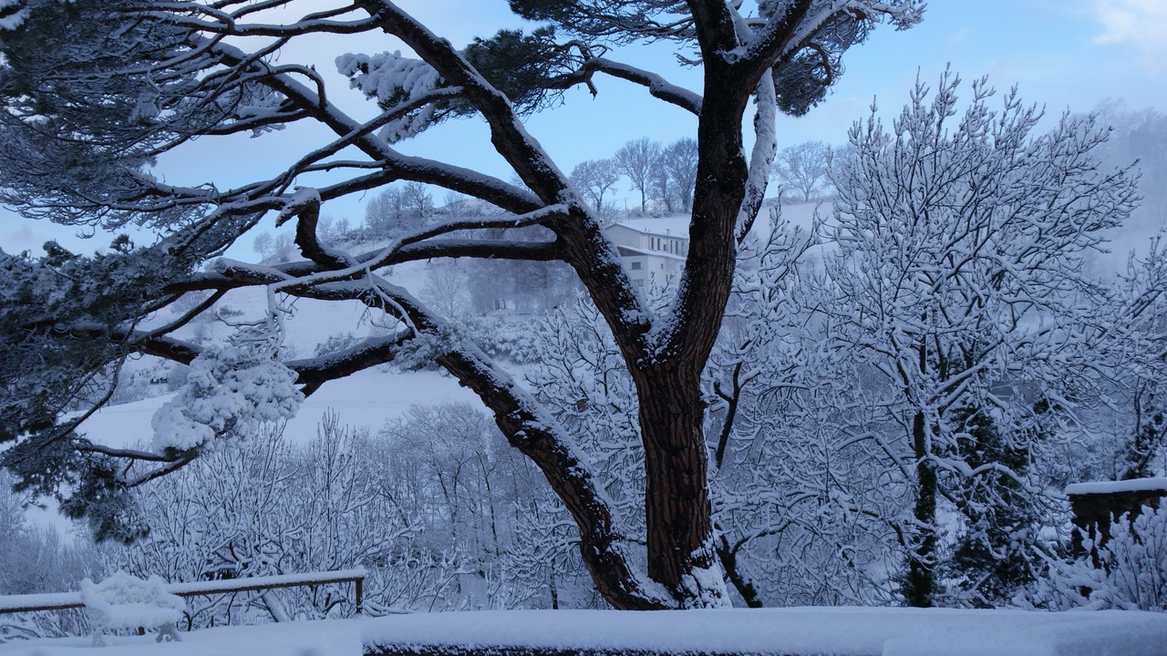 Photo of Outdoor in Mollo