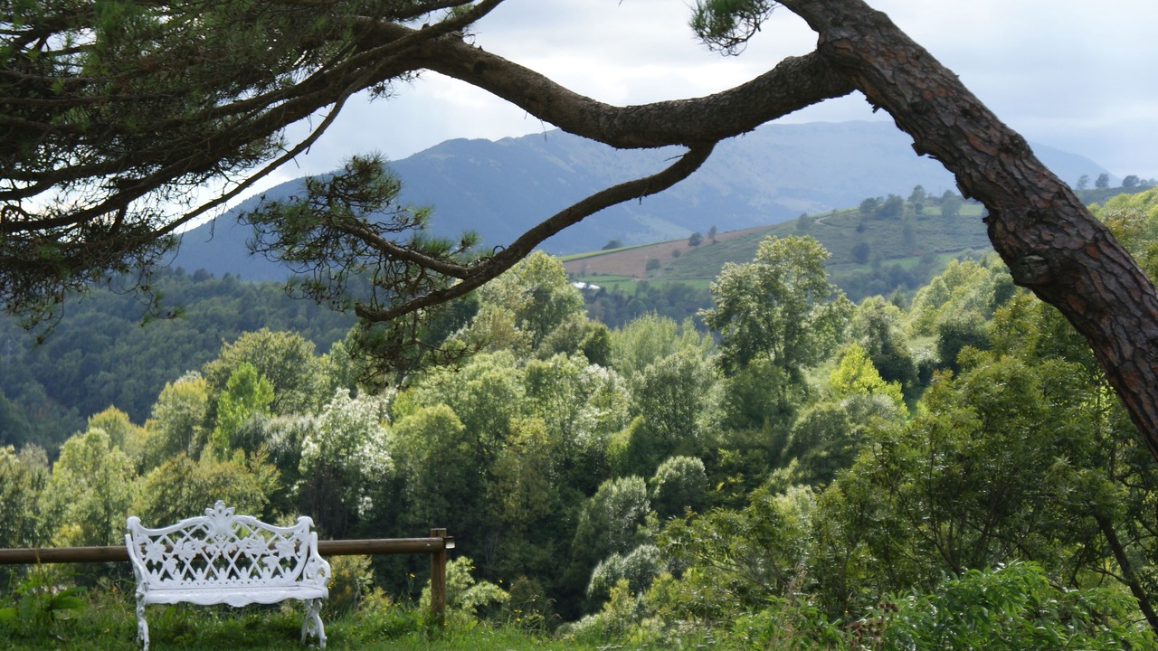 Photo of Outdoor in Mollo