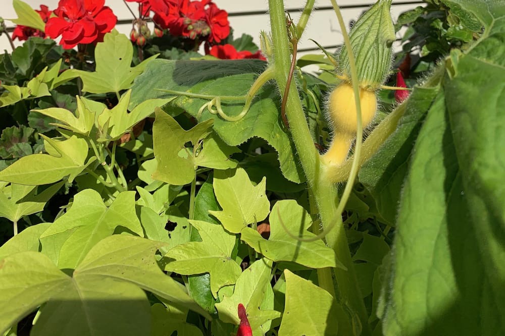 Photo of Outdoor in Portsmouth