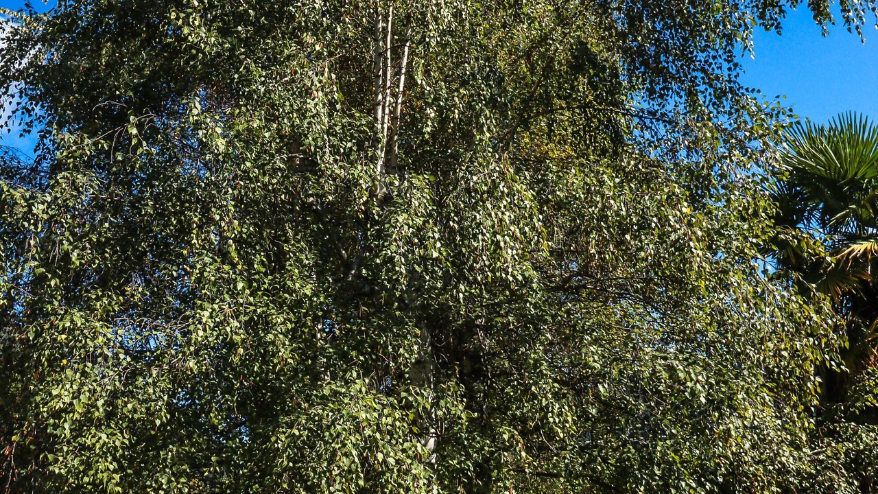 Photo of Outdoor in Cierp-Gaud