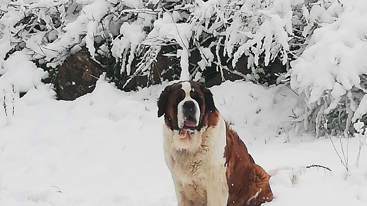 Photo of Others in Cierp-Gaud