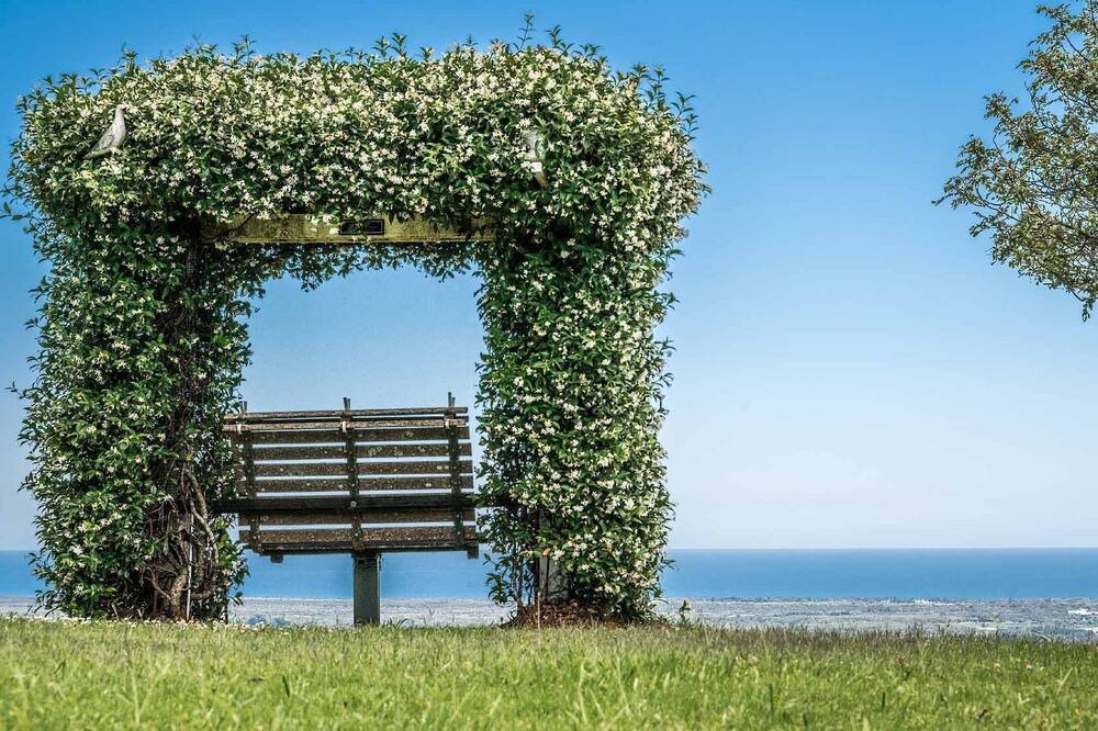 Photo of Others in McLeods Shoot