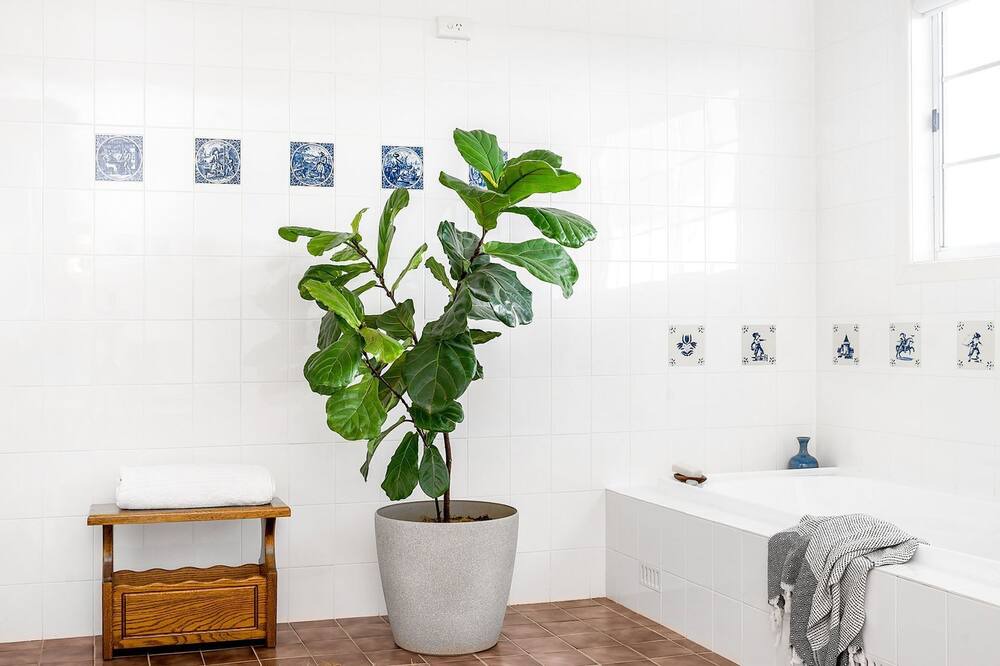 Photo of Bathroom in McLeods Shoot