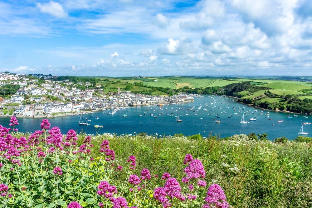 Photo of Others in Salcombe