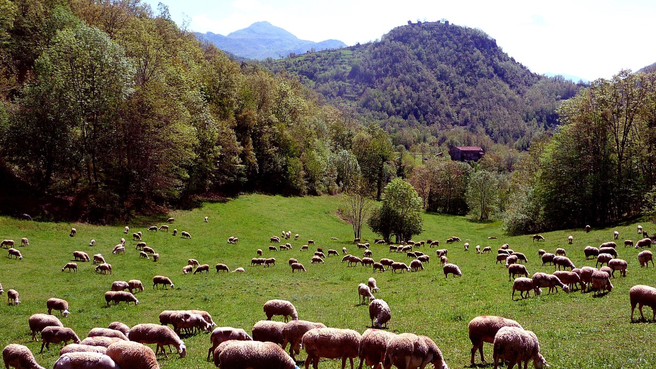 Photo of Outdoor in Rocabruna