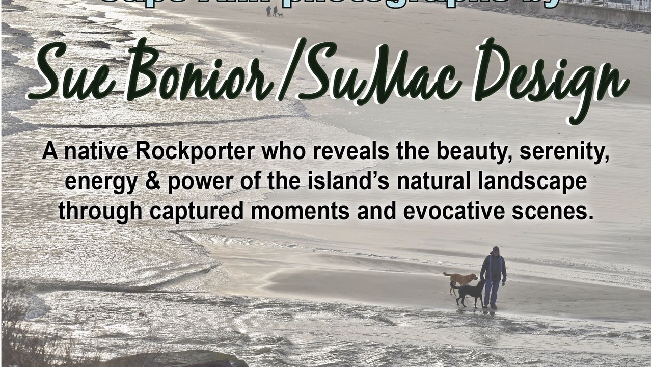 Photo of Others in Rockport