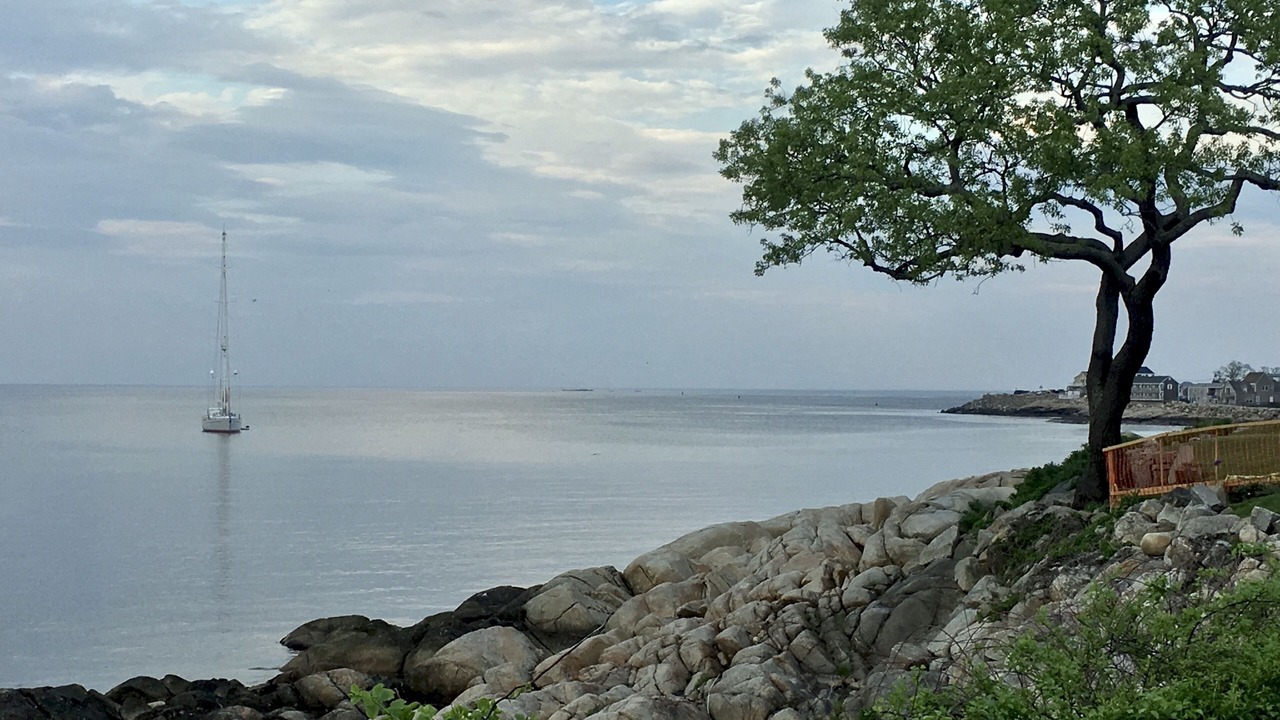 Photo of Others in Rockport