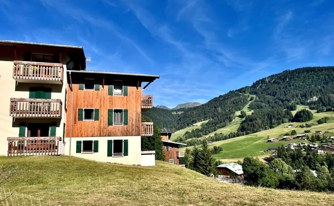 Photo of Outdoor in Praz-sur-Arly