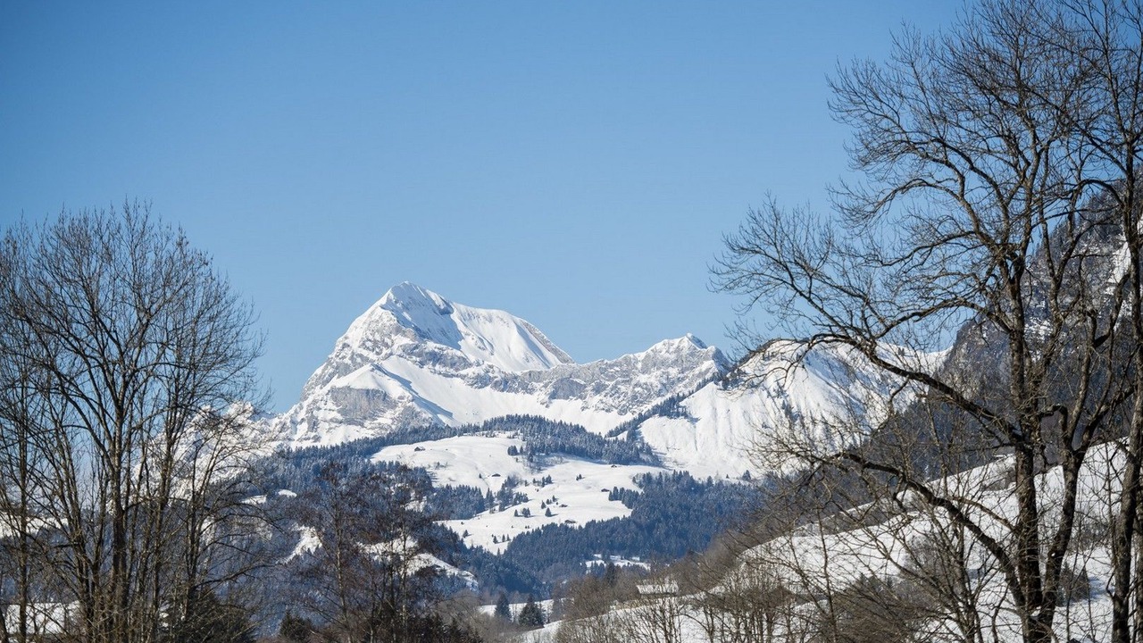 Photo of Others in Praz-sur-Arly