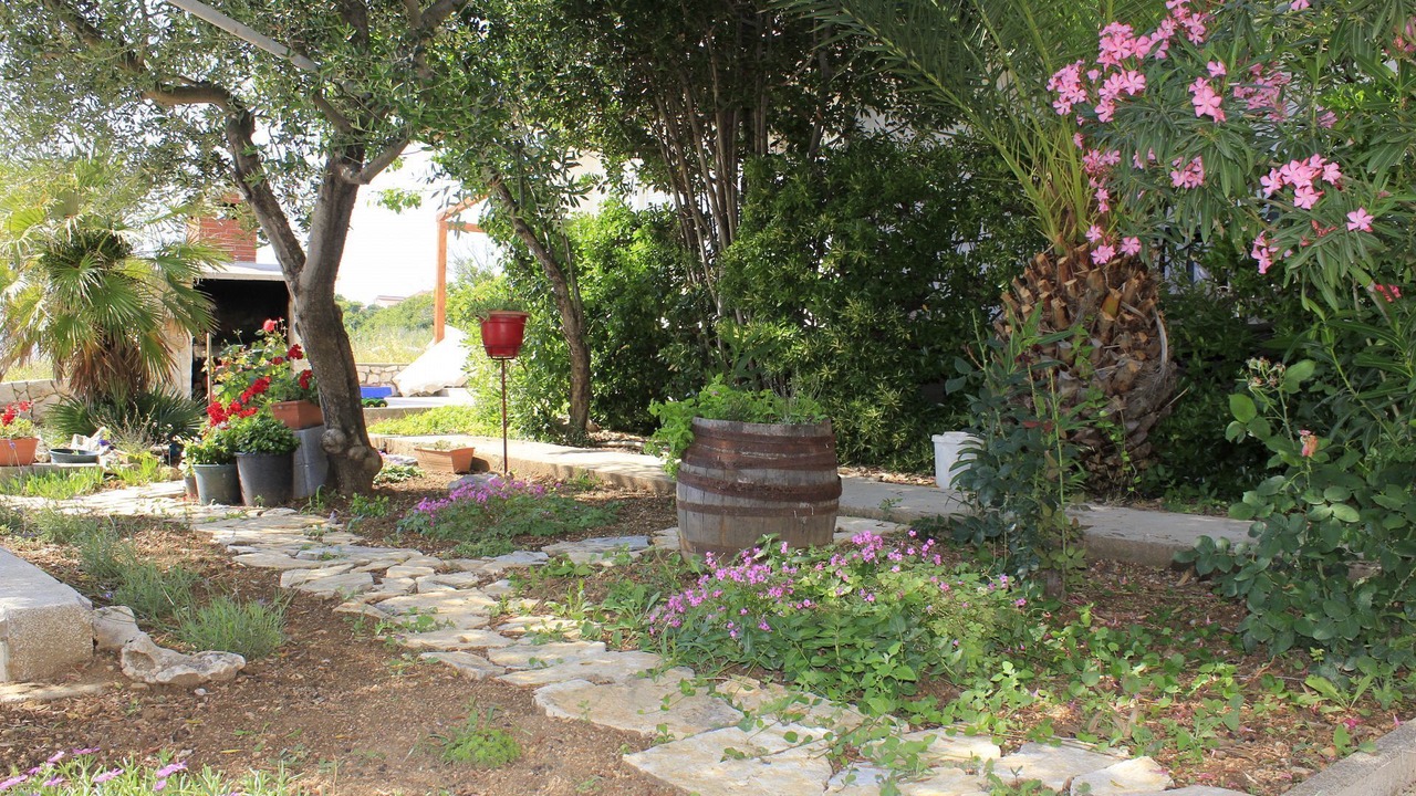 Photo of Outdoor in Povljana