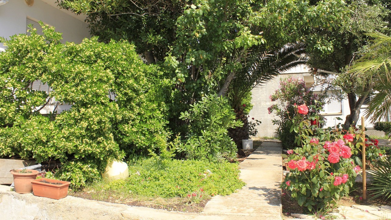 Photo of Outdoor in Povljana